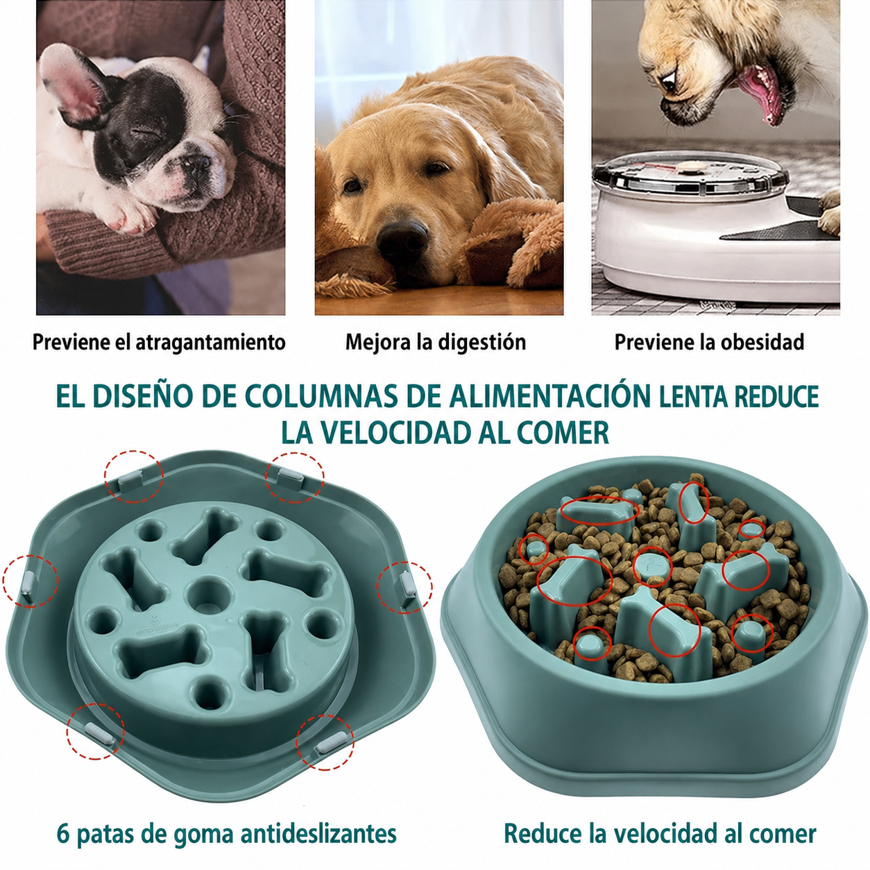 Comedero lento — Comidas sanas, tranquilas y divertidas