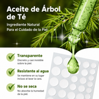 Parches Hidrocoloides para el Acné de Día y Noche