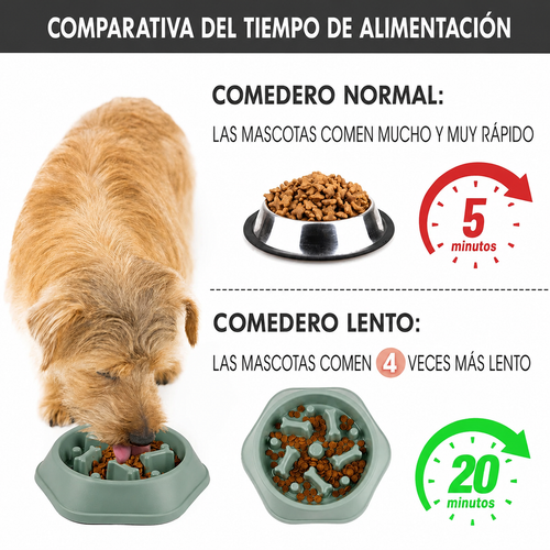 Comedero lento — Comidas sanas, tranquilas y divertidas