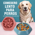 Slow Feeder — Healthy, Peaceful, and Fun Meals